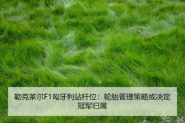 lei-ke-lai-er-xiong-ya-li-zhan-gan-wei-lun-tai-guan-li-ce-lve-huo-jue-ding-guan-jun-gui-shu-2-641.jpg