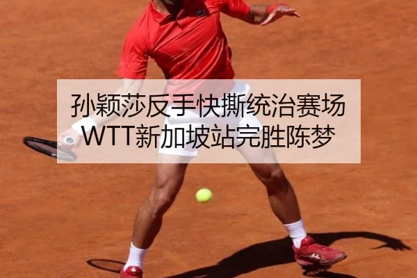 孙颖莎反手快撕统治赛场 WTT新加坡站完胜陈梦